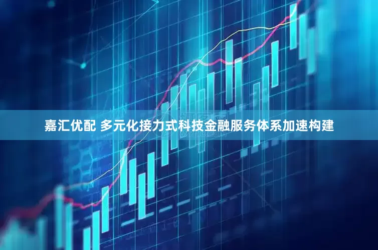 嘉汇优配 多元化接力式科技金融服务体系加速构建