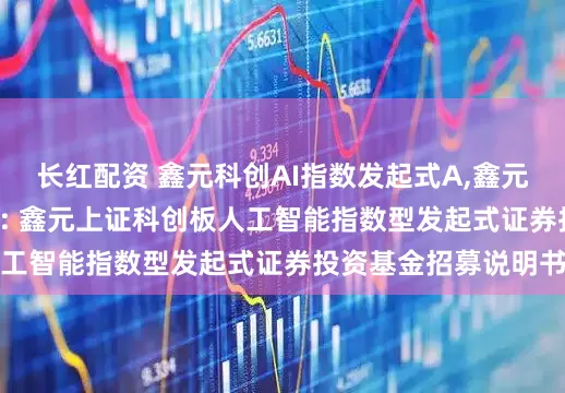 长红配资 鑫元科创AI指数发起式A,鑫元科创AI指数发起式C: 鑫元上证科创板人工智能指数型发起式证券投资基金招募说明书