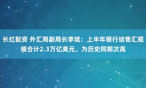 长红配资 外汇局副局长李斌：上半年银行结售汇规模合计2.3万亿美元，为历史同期次高